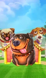 The Dog House